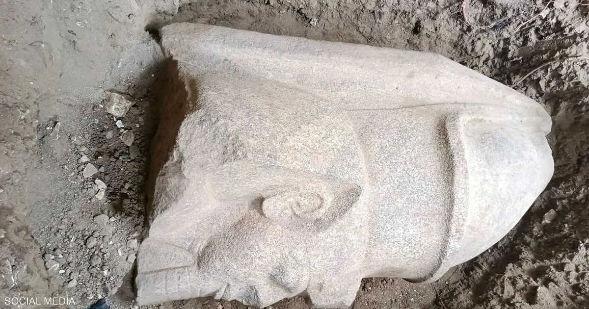 كشف تمثالين ضخمين وكتلة جرانيتية لرمسيس الثاني في بهبيت الحجارة بالغربية