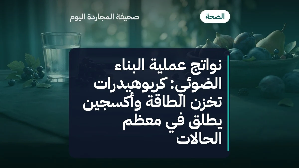 نواتج عملية البناء الضوئي: كربوهيدرات تُخزّن الطاقة وأكسجين يُطلق في معظم الحالات