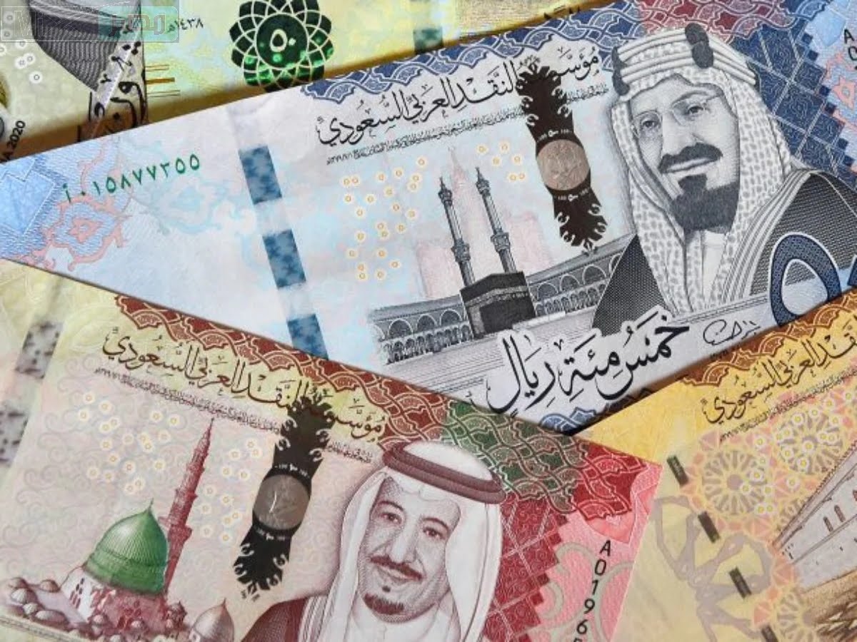 ” خبر ساااار ” مساعدة جديدة لمستفيدي الضمان المطور 1445 من الموارد البشرية لهذه الفئات … تعرف عليها