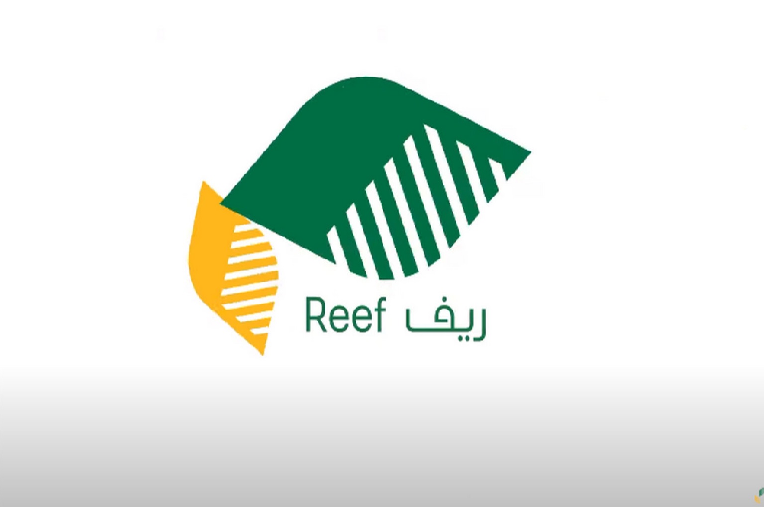 وزارة البيئة والمياه توضح رابط الاستعلام عن دعم ريف برقم الهوية 1445 عبر الموقع الرسمي وأهم الشروط المطلوبة للتسجيل