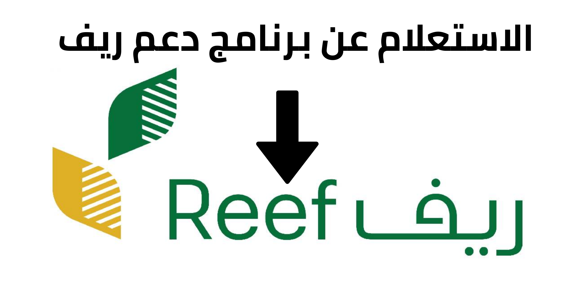 كيف يتم الاستعلام عن دعم ريف 1445 وشروط الحصول على الدعم