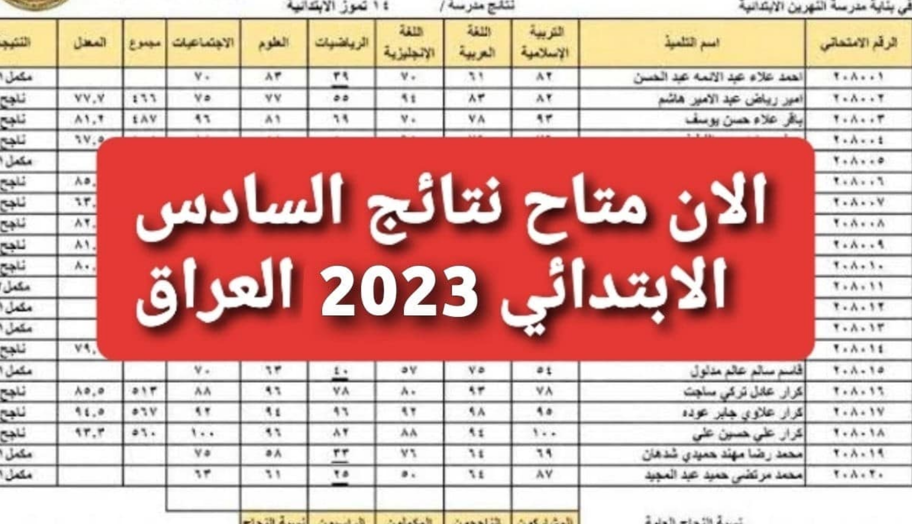 عاجل ظهور نتيجة السادس الابتدائي 2023 بابل وعموم المحافظات.. احصل عليها الآن