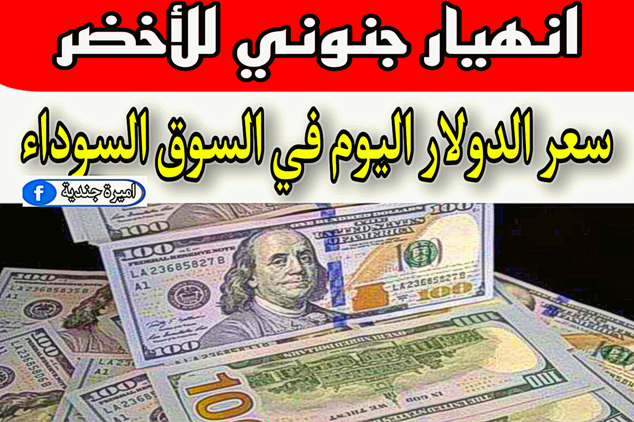 “هبوط جنوني” بكام سعر الدولار اليوم في السوق السوداء وفي مكاتب الصرافة + الأخضر الامريكي جنن الكل