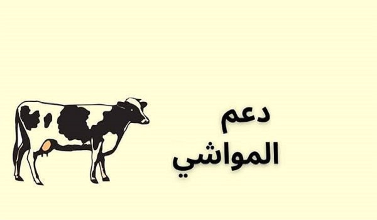 هُنــا طريقة خطوات التقديم على دعم مربي المواشي 2023