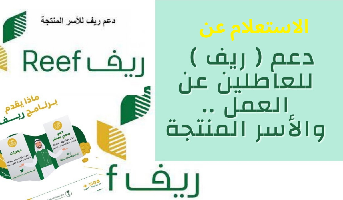 كيفية الاستعلام عن دعم ريف للأسر 1445 وموعد نزول الدعم الريفي للمستحقين reef.gov.sa