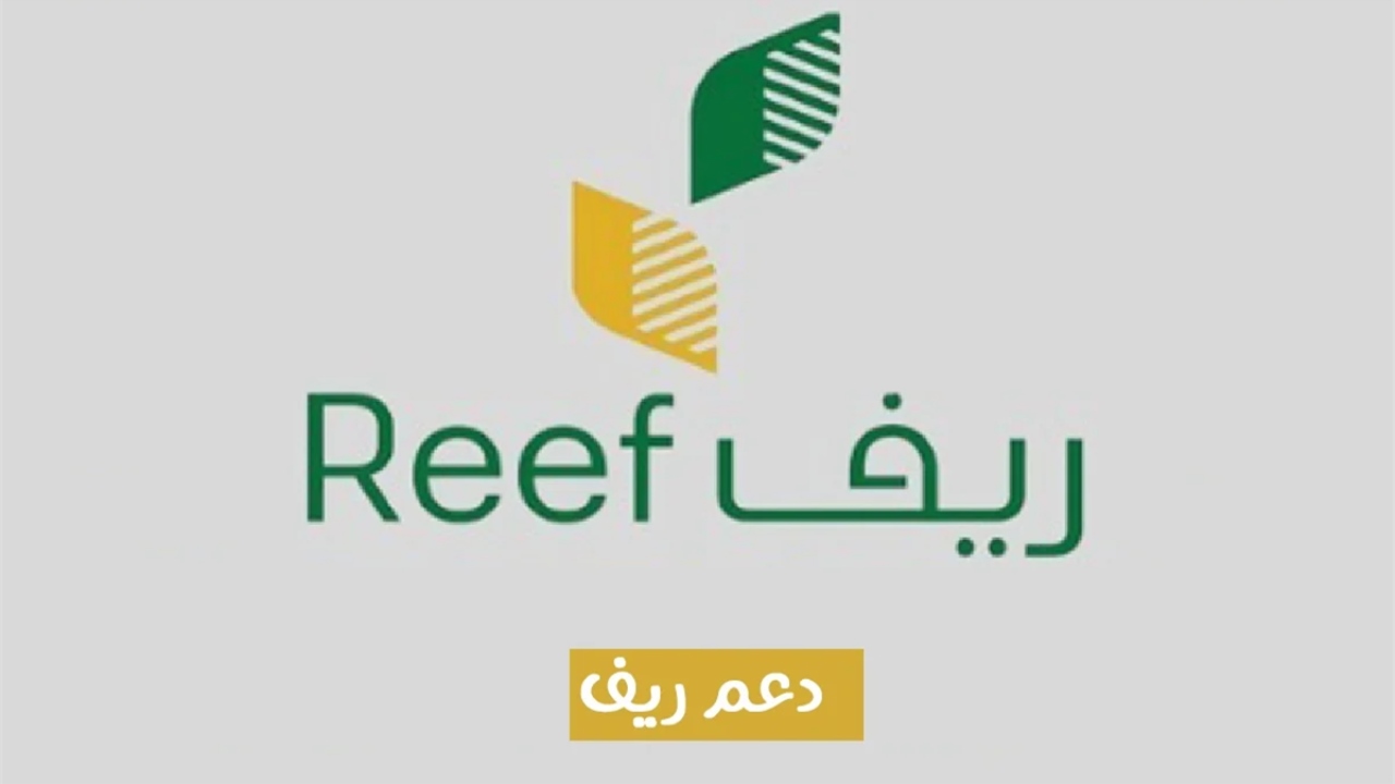 “reef.gov.sa” هٌنا رابط استعلام دعم ريف نفاذ+ شروط استحقاق دعم ريف
