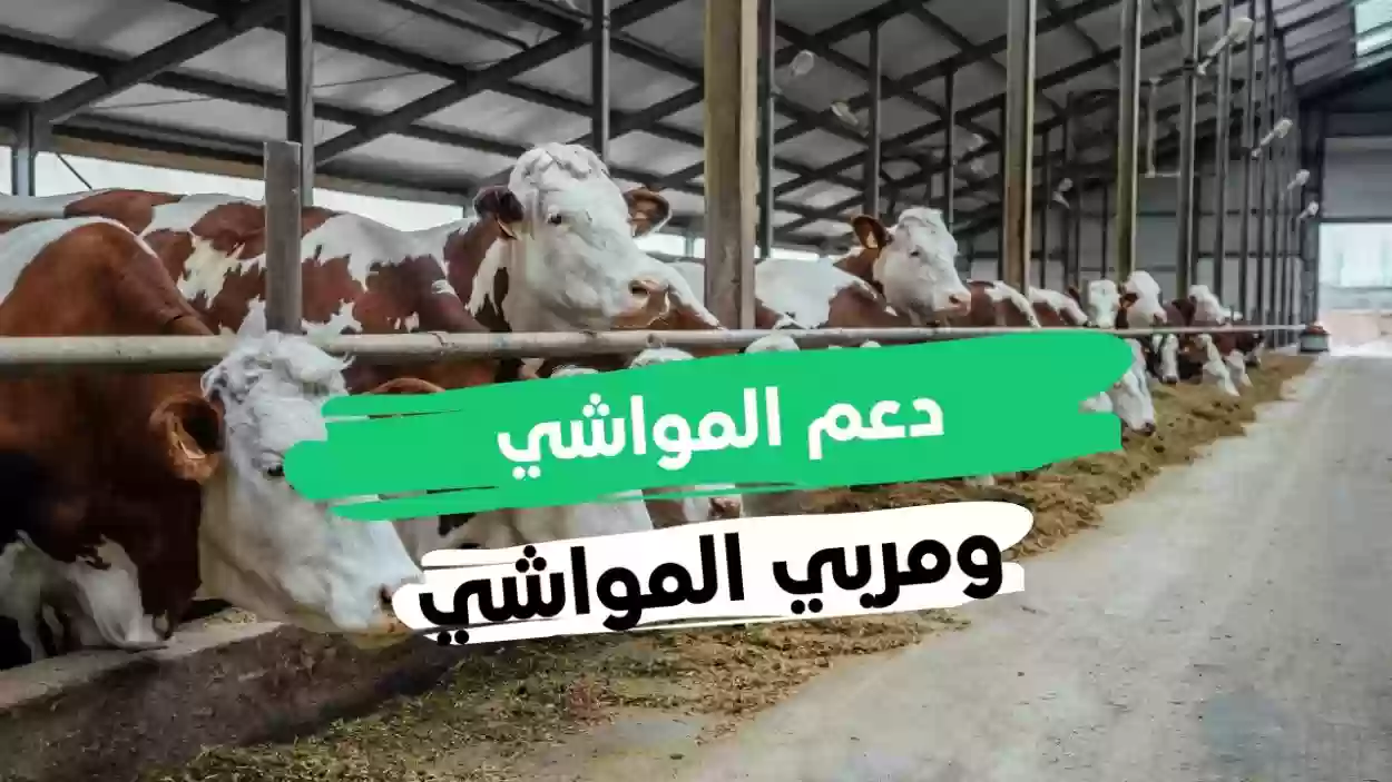 رمز عدم الأهلية 1500 دعم المواشي وش يعني؟ وكيف اقدر احل هذي المشكلة