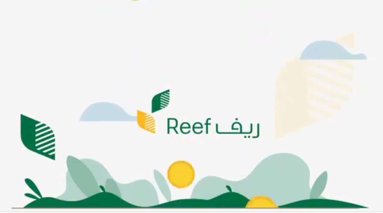 للمزارعين.. موعد إيداع دعم ريف+ كيفية الاستعلام عن دعم ريف