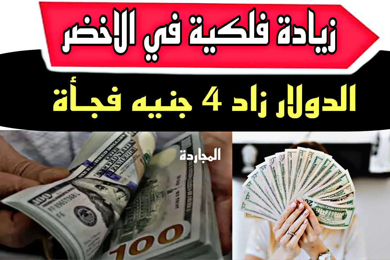 “اجـري وراه بقي” سعر الدولار في السوق السوداء اليوم والبنوك المصرية + تخيل الـ 1000 دولار بكام النهارده