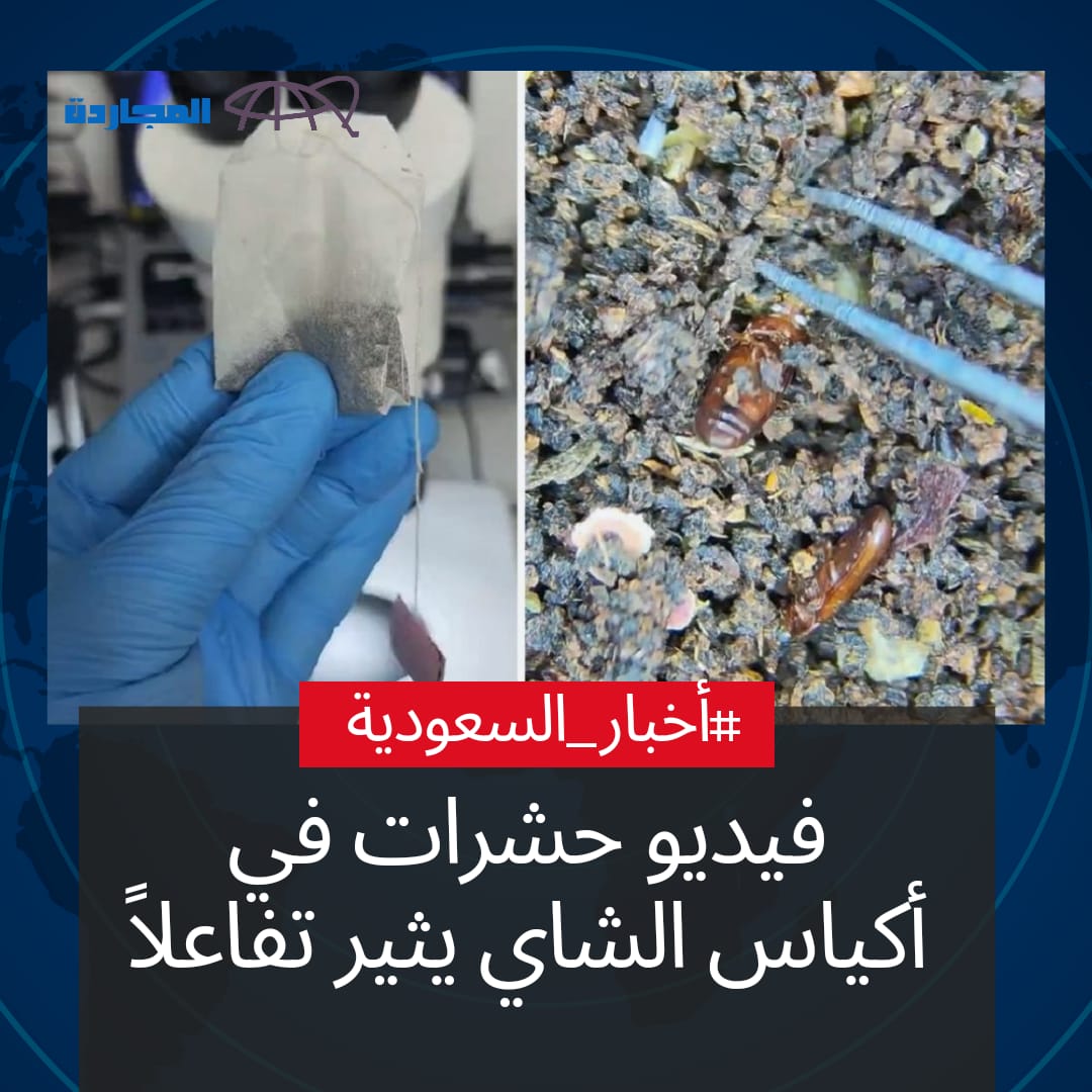 “فيديو” حشرات في أكياس الشاي يُثير تفاعلاً في السعودية.. و”هيئة الغذاء” تسحب عينات لتحليها وهذا أول تعليق للهيئة