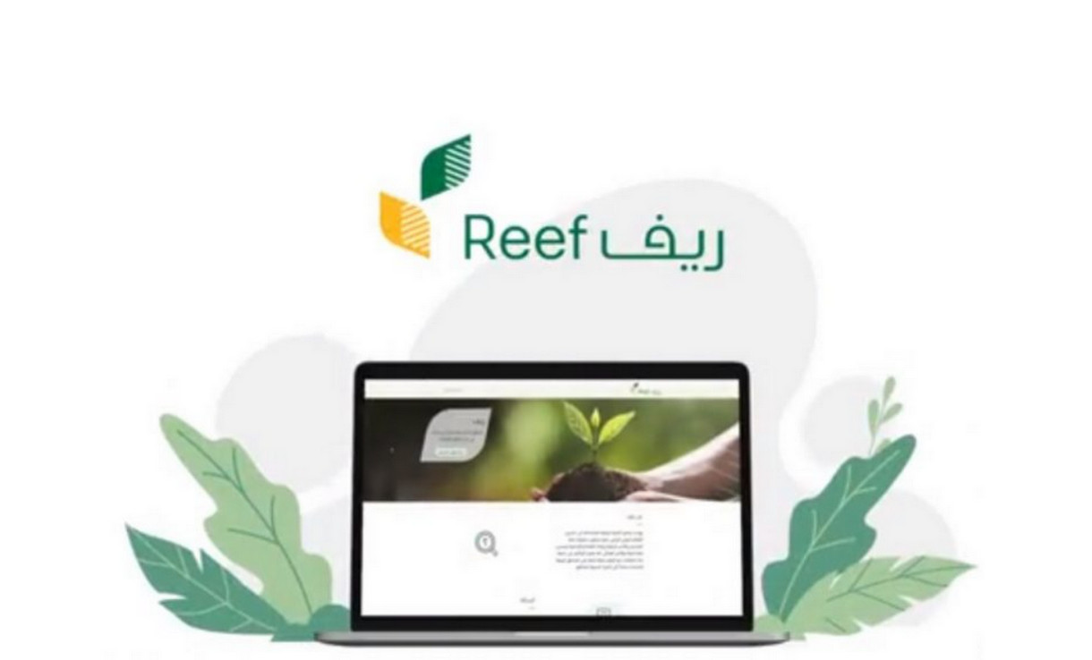 استعلام عن دعم ريف برقم الهوية الوطنية 1445 العناية بالمستفيدين”.. توضح