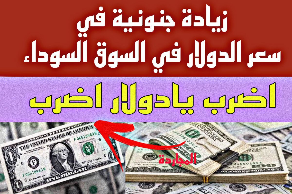 تحديـث سعر الدولار في السوق السوداء وبنك القاهرة وبنك مصر والاهلي اليوم | زيادة كبيرة في سعر الدولار الحيــن