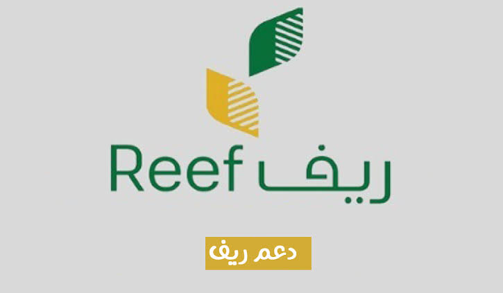أستعلم الحين قبل نزوله/… خطوات الاستعلام عن دعم ريف 1445؟ وما هي شروط الحصول عليه؟