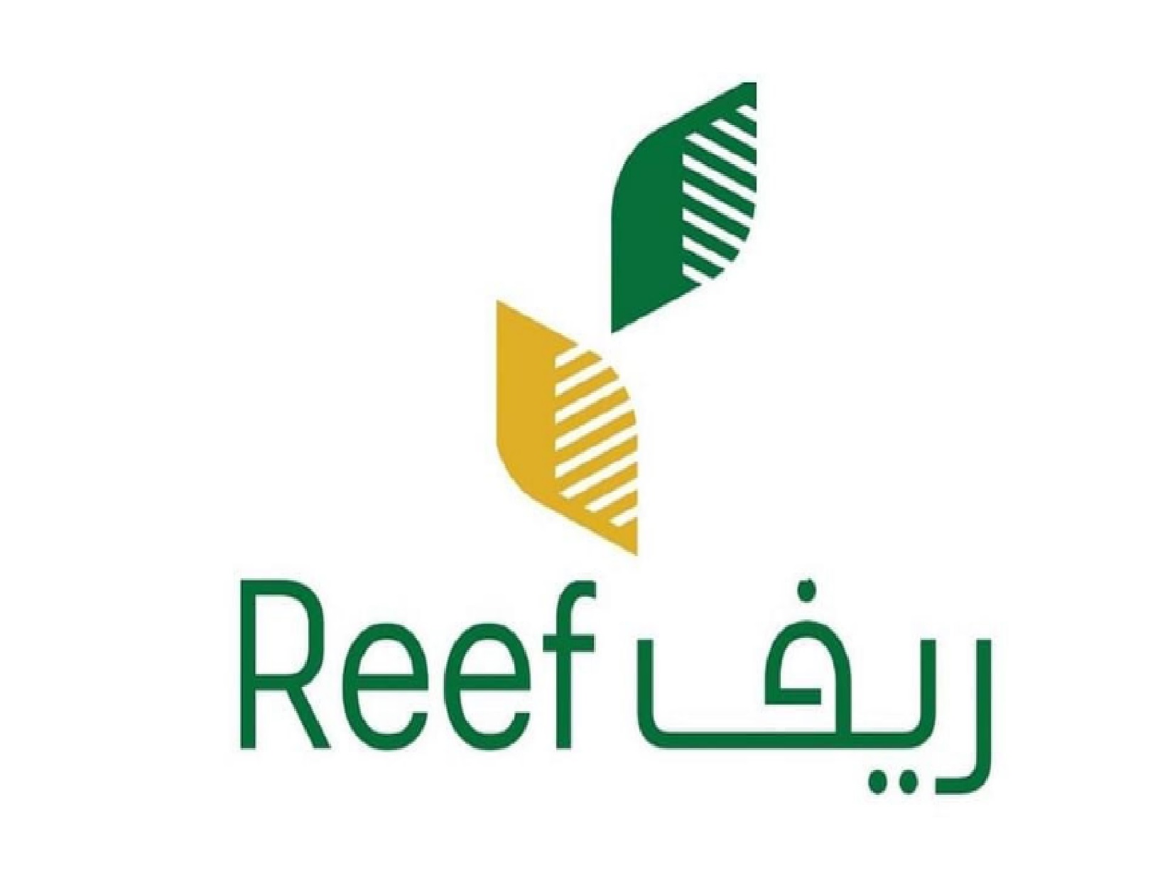 برنامج دعم ريف يعلن سبب رفض دراسة جدوى أحد المشاريع
