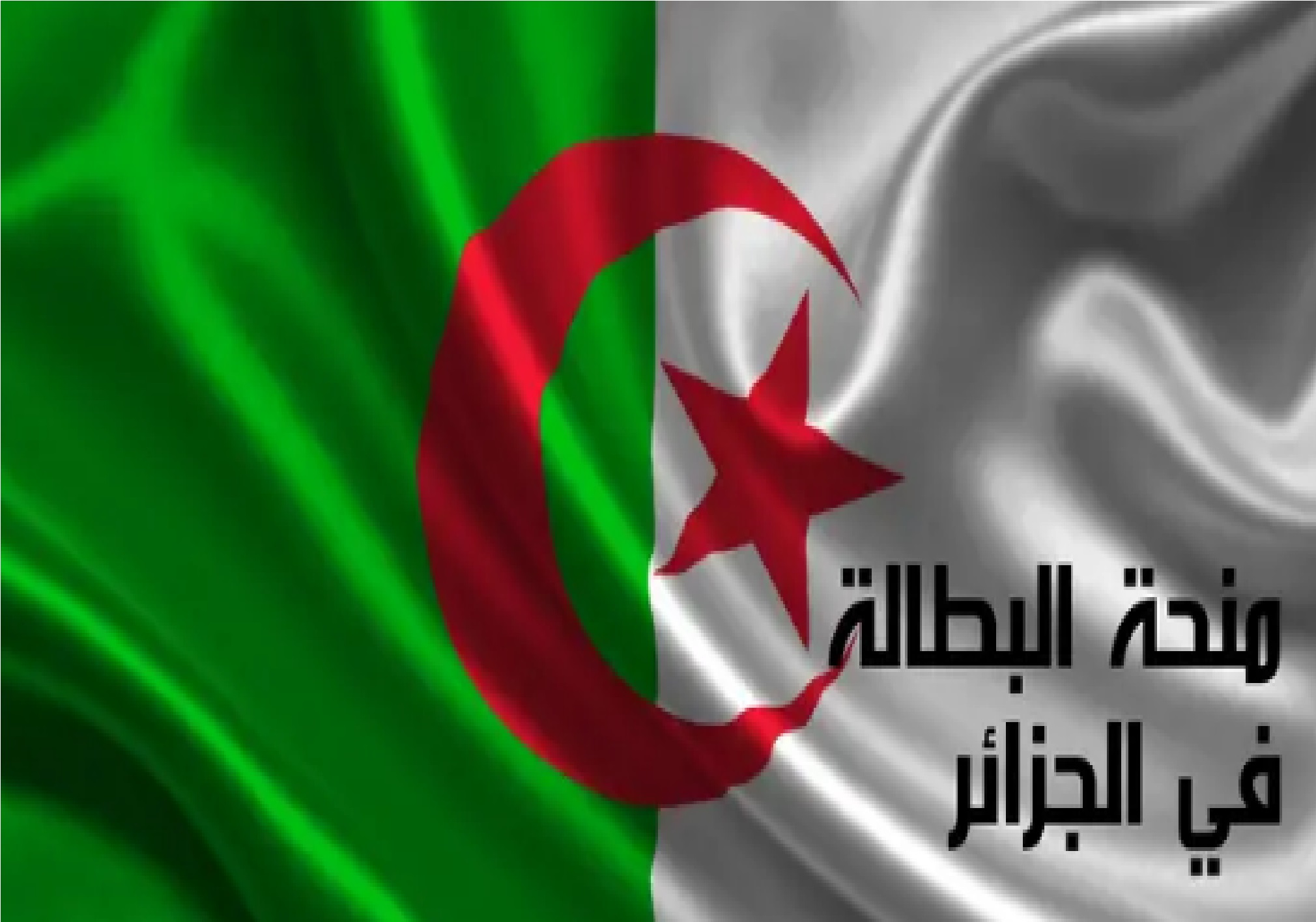 20 ألف دينار”.. رابط التسجيل في منحة البطالة 2024 في الجزائر وما هي الشروط الجديدة