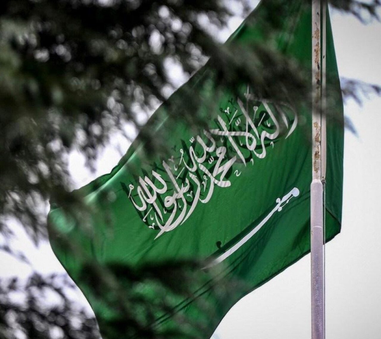 متى تطبق ضريبة الدخل على الأفراد في السعودية؟ وزارة المالية تنشر الحقائق