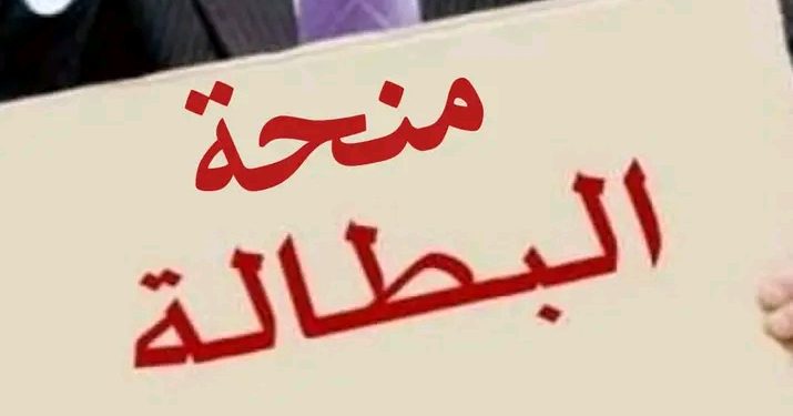 إيداع فوري 15000د.ج رفع منحة البطالة في الجزائر 2024 .. لمن تنطبق عليه الشروط .. هل انت منهم؟!