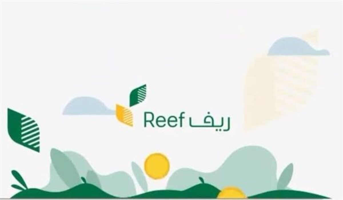 بعد التعديل .. موعد صرف دعم ريف+ شروط الحصول على دعم ريف