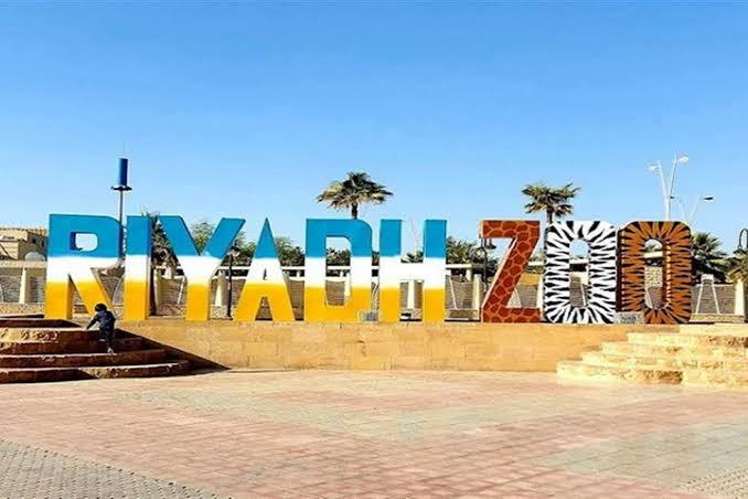 متعة عائلتك هناك|.. إليك كيفية حجز تذاكر حديقة الحيوان بالرياض 2024 وعرض لأبرز الأماكن بها