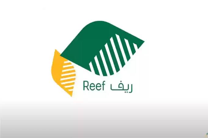 سجل الآن|.. خطوات التقدم بطلب للحصول على دعم ريف 2024 وما هي الشروط المطلوبة؟