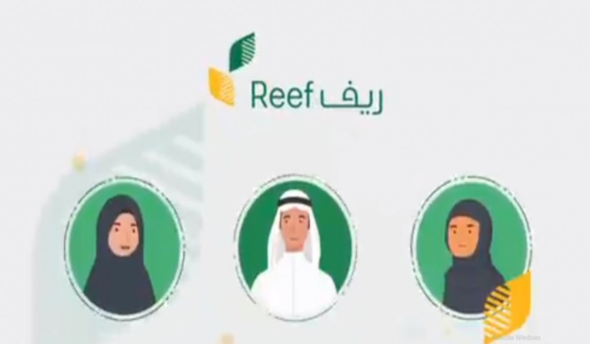 متى صرف دعم ريف لشهر فبراير 2024؟+ما خطوات التسجيل في الدعم الريفي؟ الزراعة توضح