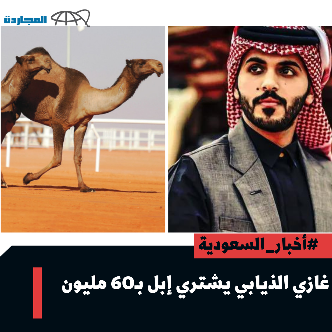 مُتداول “فيديو” غازي الذيابي يشتري إبل بـ 60 مليون ريال 🐪 وأبو فيصل يرد إذا فاز بالمركز الأول يبيع الإبل بـ 100 مليون ريال🐪