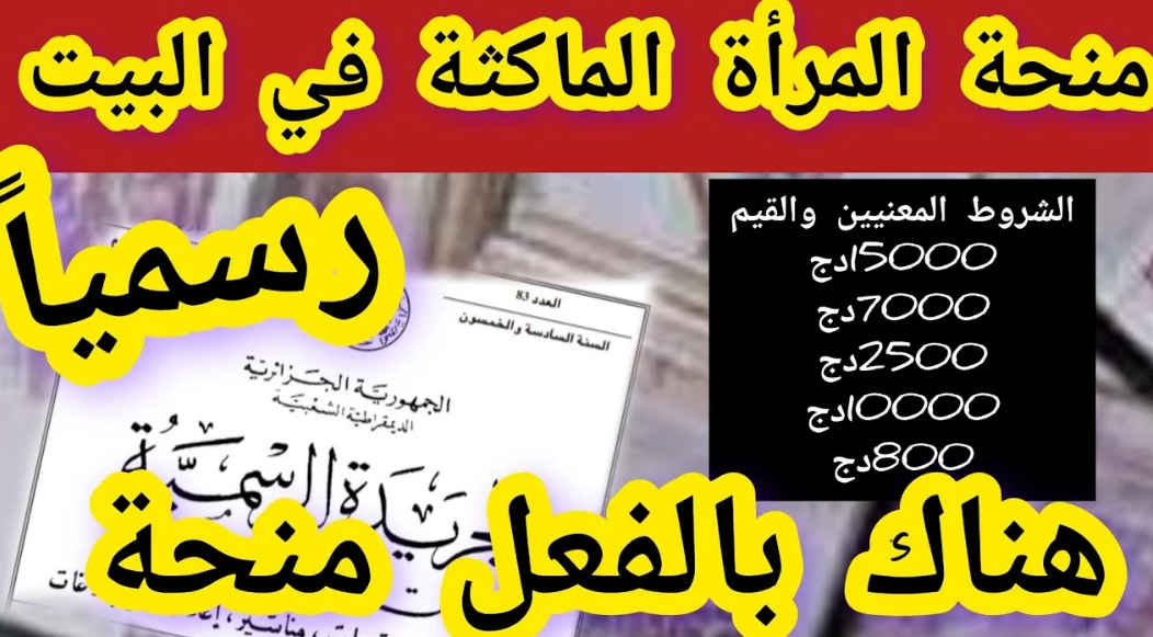 متاح الآن..رابط التسجيل في منحة المرأة الماكثة بالمنزل 2024 من خلال الوكالة الوطنية للتشغيل