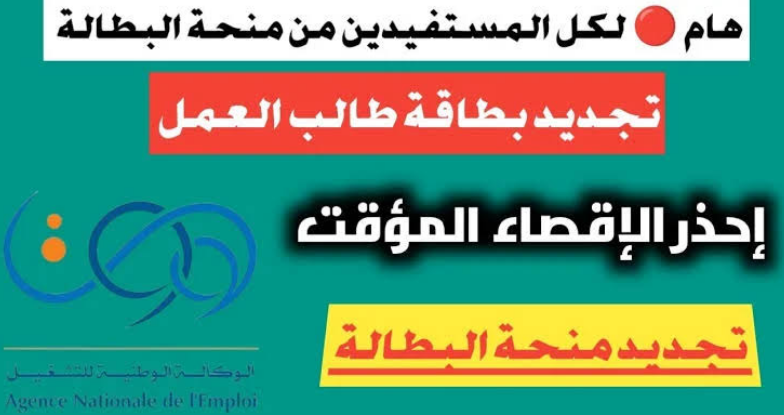 تجديد منحة البطالة في الجزائر 2024.. الخطوات والشروط المطلوبة