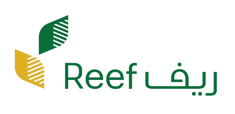 رابط الحاسبة التقديرية لبرنامج ريف.. أداة إلكترونية لاستكشاف الدعم المتوقع