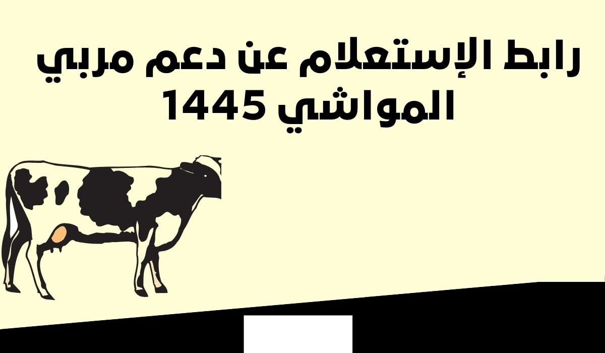 طريقة الاستعلام عن دعم مربين المواشي 1445 وما هي شروط الاستحقاق للحصول على الدعم