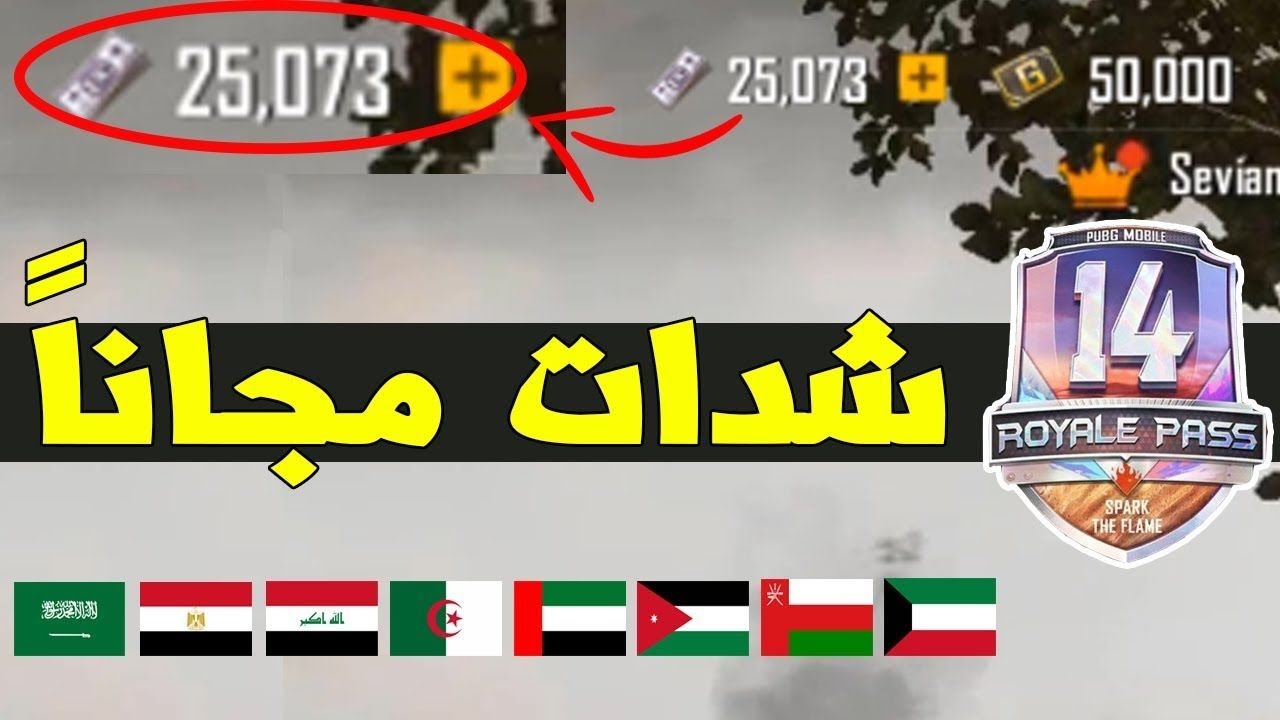 دون معاناة.. خطوات شحن شدات ببجي 2024 للحصول على الجواهر وبعض النصائح المهمة للعبة