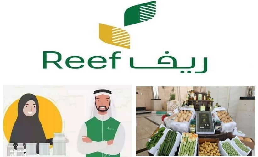“العد التنازلي بدأ” تعرف على موعد صرف دعم ريف وطريقة الاستعلام عن الدعم..!!