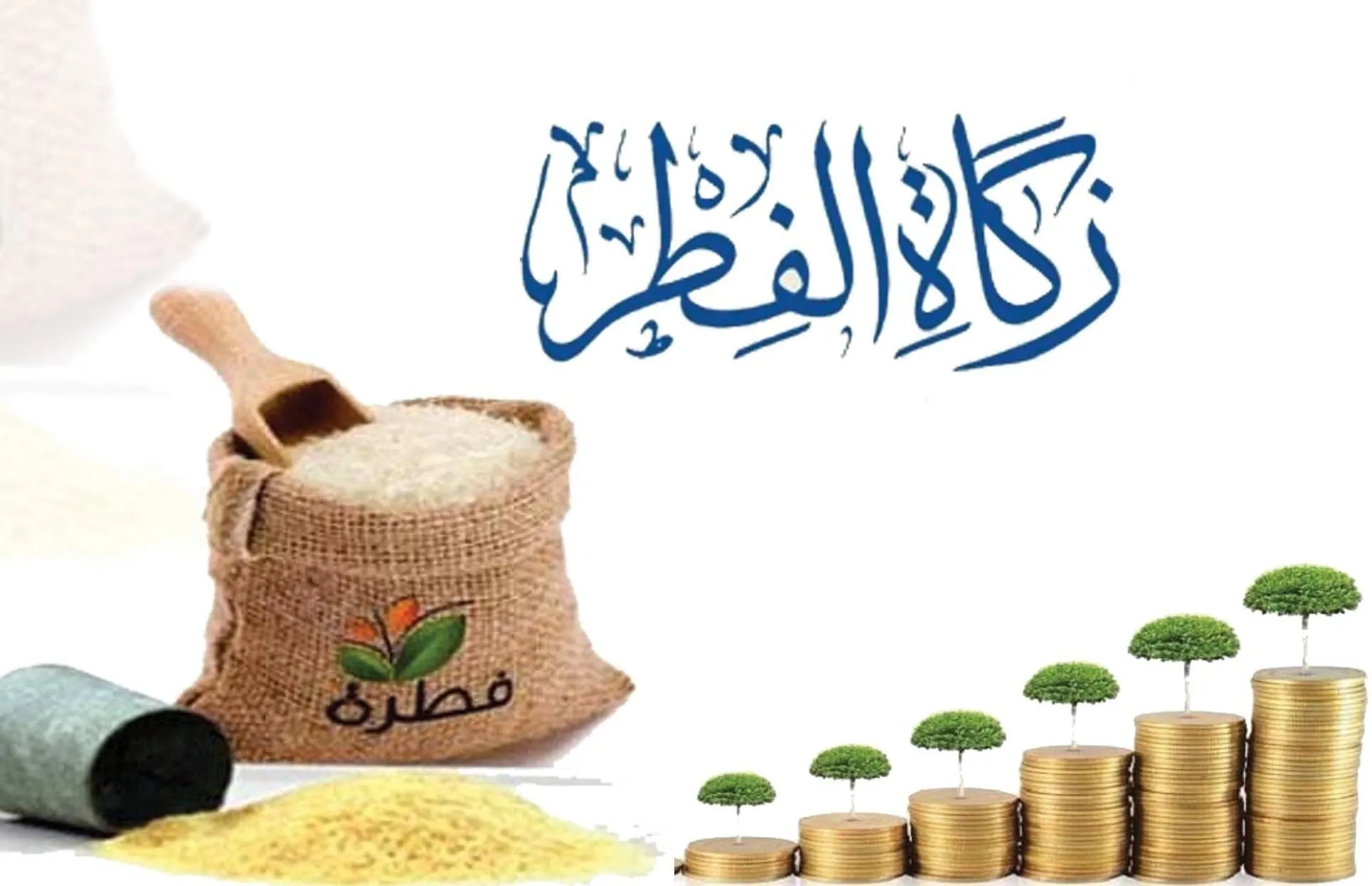 رابط دفع زكاة الفطر اون لاين السعودية 1445 تعرف على وقت اخراج زكاة الفطر