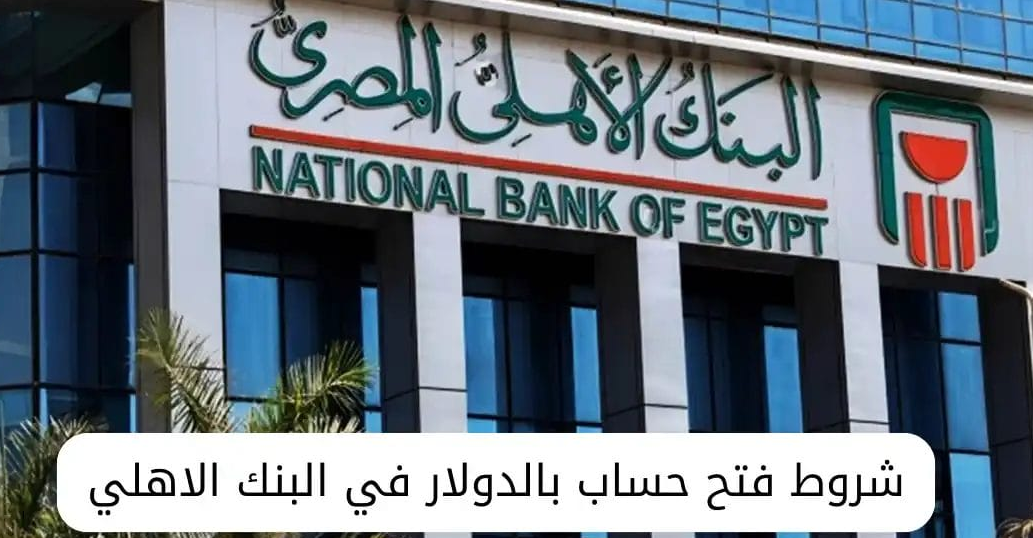 تعرف على شروط فتح حساب بالدولار في البنك الأهلي المصري 2024