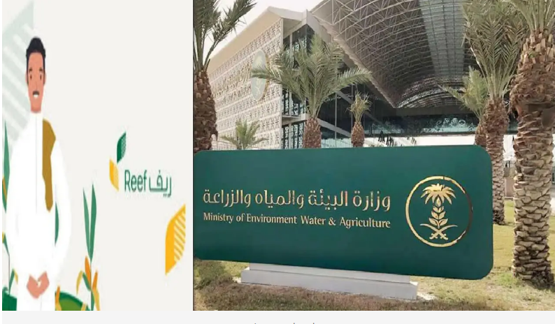 وزارة الزراعة والبيئة تُطلق آلية جديدة لاستعلام دعم ريف برقم الهوية