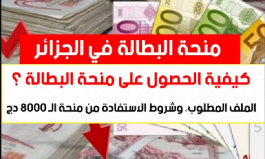 هل تم رفض طلبك للحصول على منحة البطالة في الجزائر 2024؟ إليك الحل!