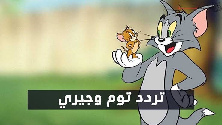 لو ولادك زهقانين.. استقبلي تردد قناة توم وجيري لعام 2024 وارتاحي من الزن