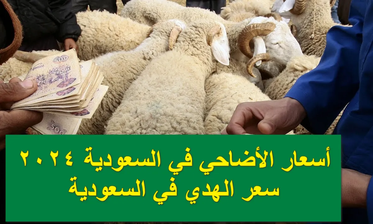 ” 𝒩𝒪𝒲🐑🐄🐂 ” كم سعر الهدى في بنك الراجحي 2024؟ .. طريقة دفع الفدية عن طريق الراجحي بالخطوات 1445