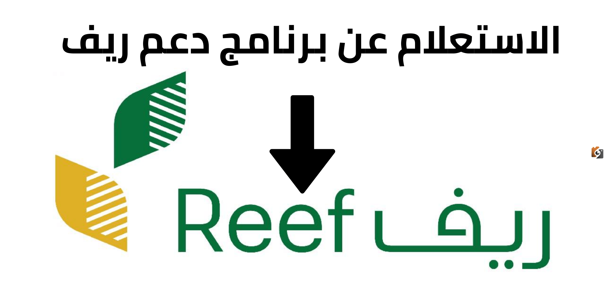“شرح بالخطوات” الإستعلام عن دعم ريف متى ينزل لهذا الشهر 1445