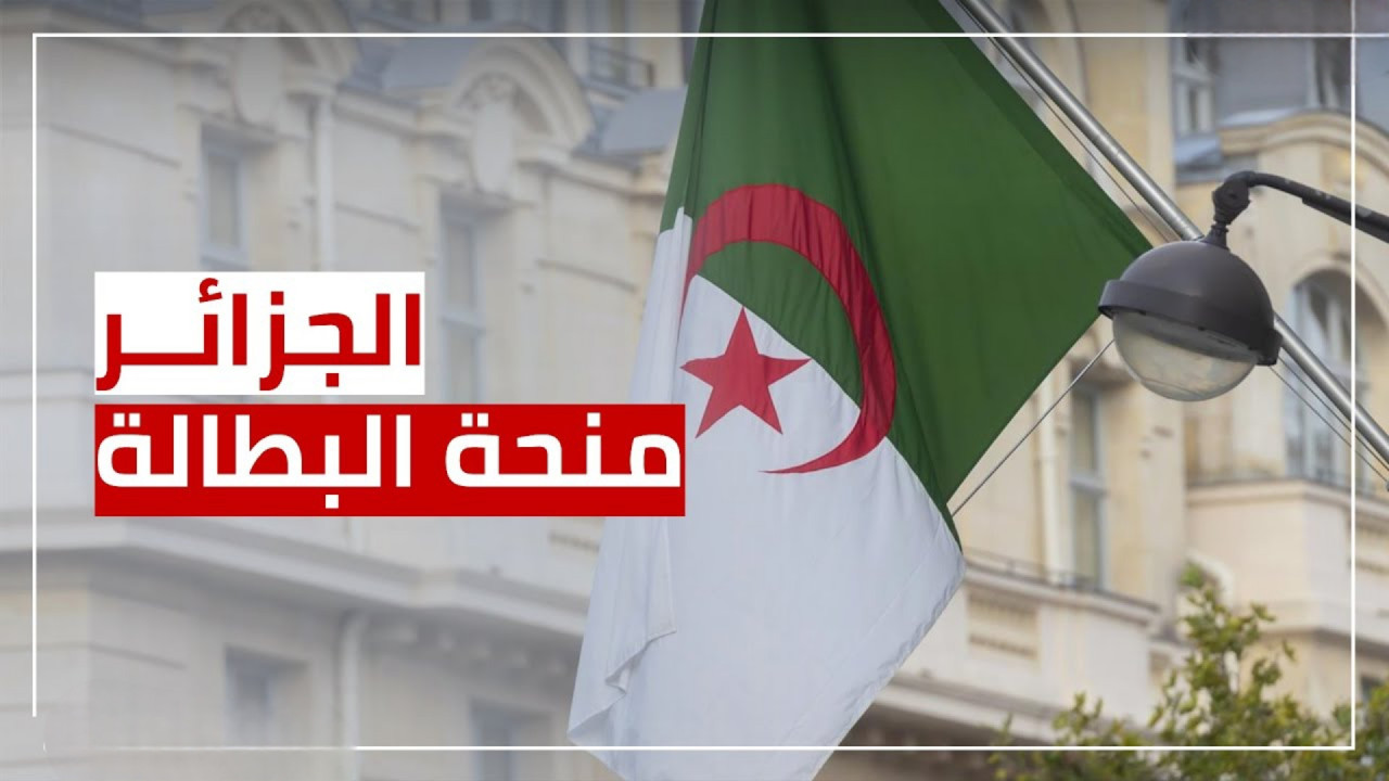 ما هي أسباب إيقاف منحة البطالة في الجزائر 2024؟.. الوكالة الوطنية للتشغيل توضح